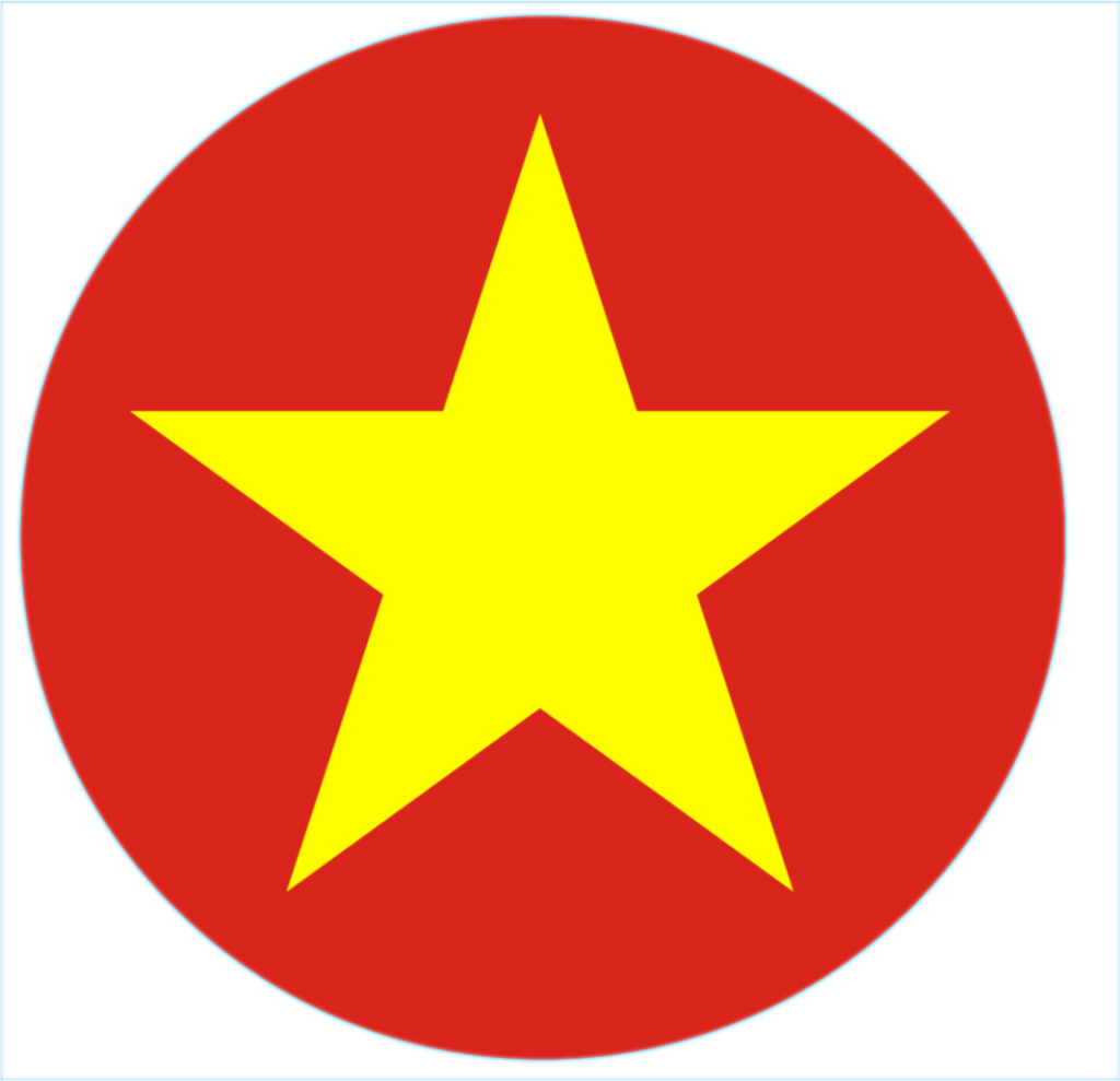  Vietnamese Language 